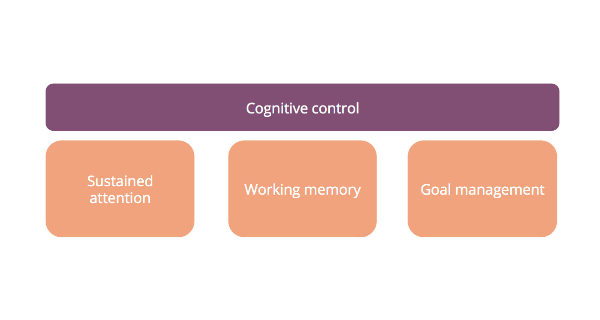 cognitive control