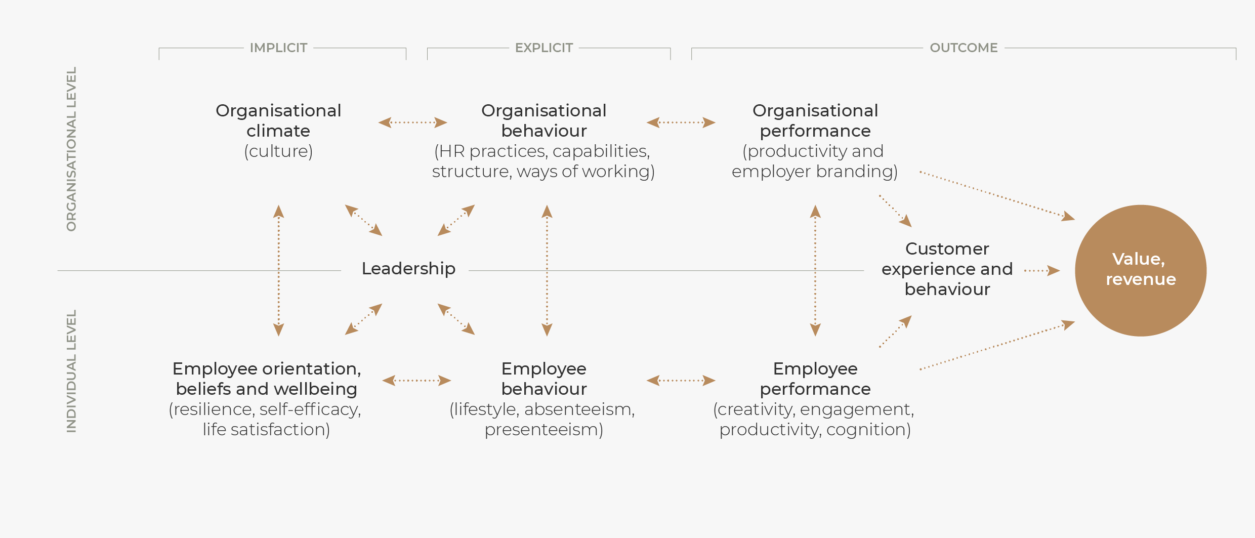 hintsa value chain